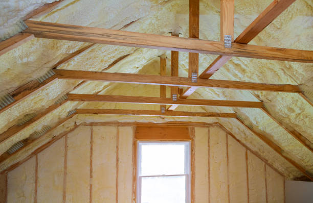 Best Commercial Insulation in Monte Vista, CO